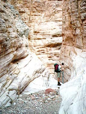 Tony in 75 mile creek